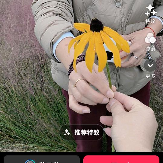 下定决心忘记你