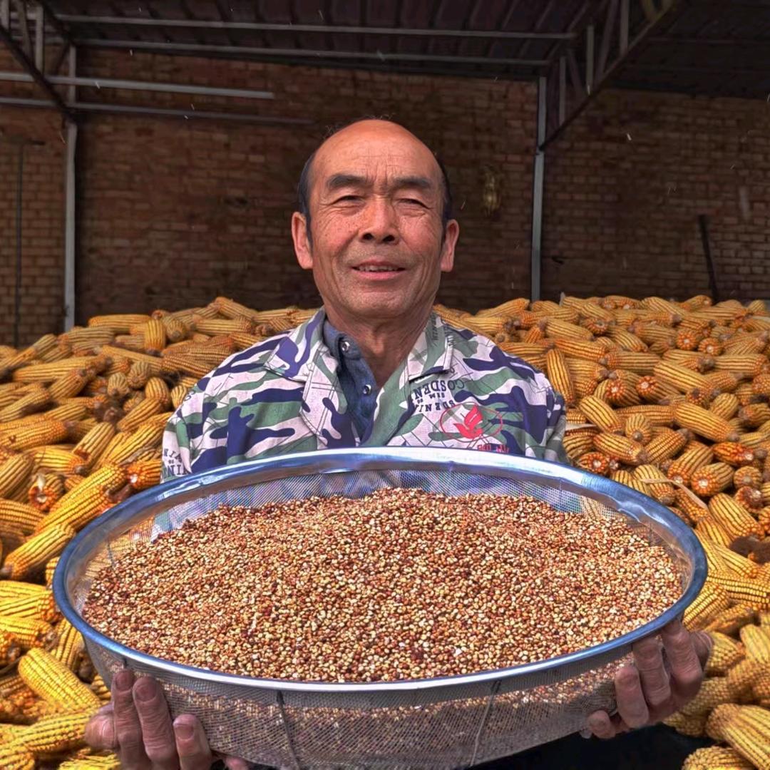 老油条