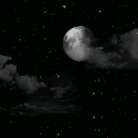 ꧔ꦿ࿐้陳年黄酒₅₂₀💞࿐