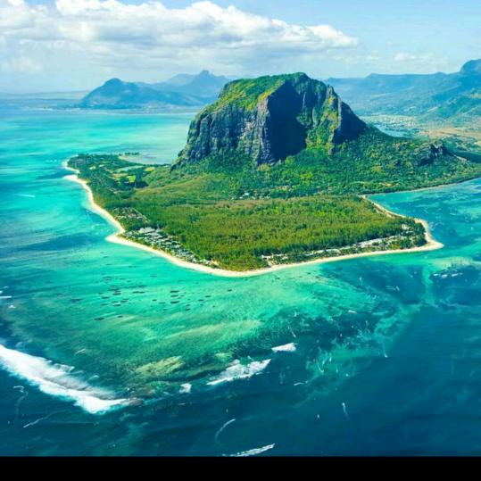 面朝大海