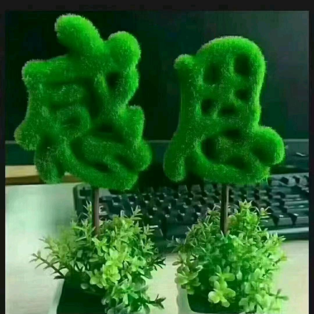 赵家千金