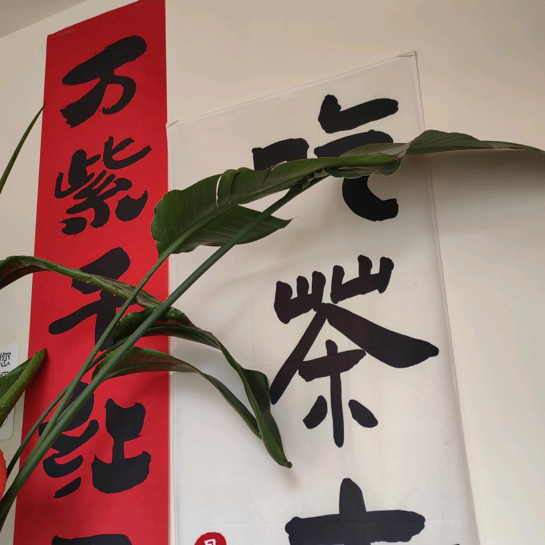 劈哩叭啦~