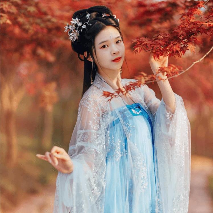 紫菱