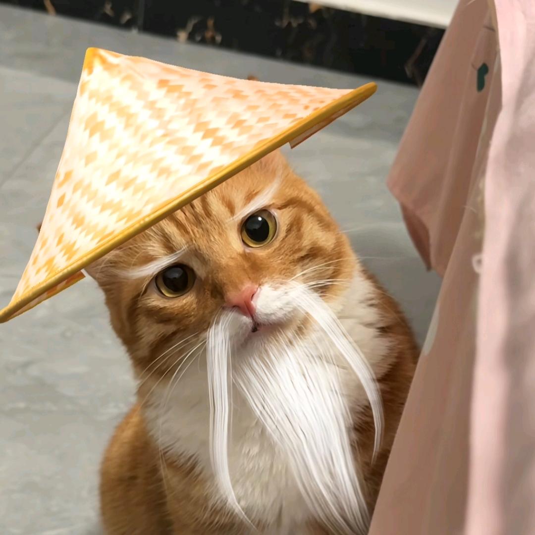 你别研究