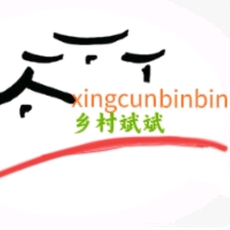 乡村斌斌.
