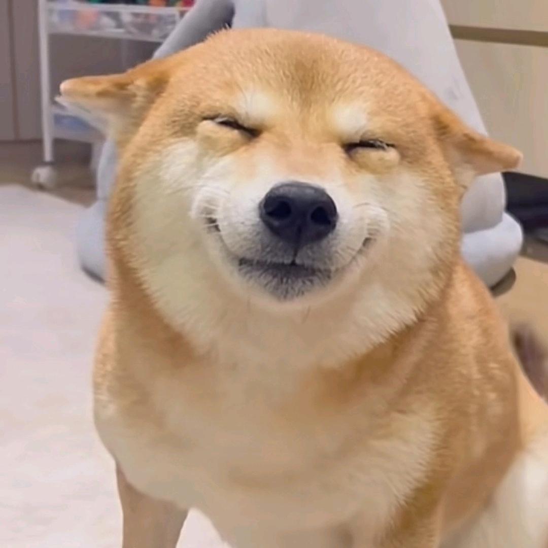 可怕的班主任👿