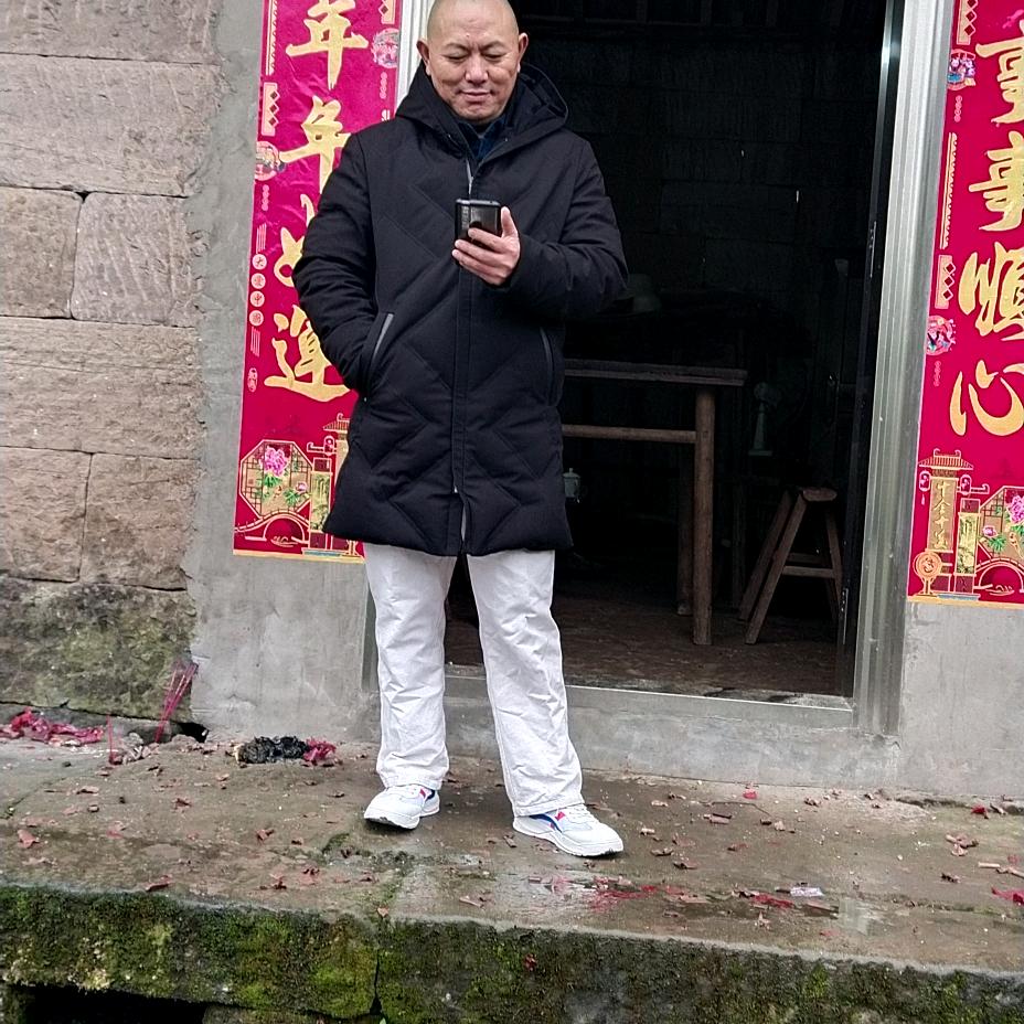 灌木金弹子