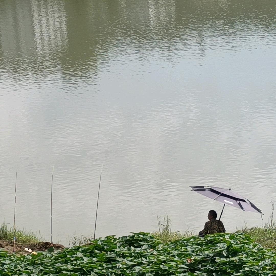 沱江捣衣声