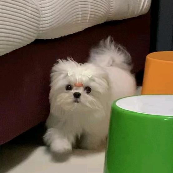 一亿是个小目标