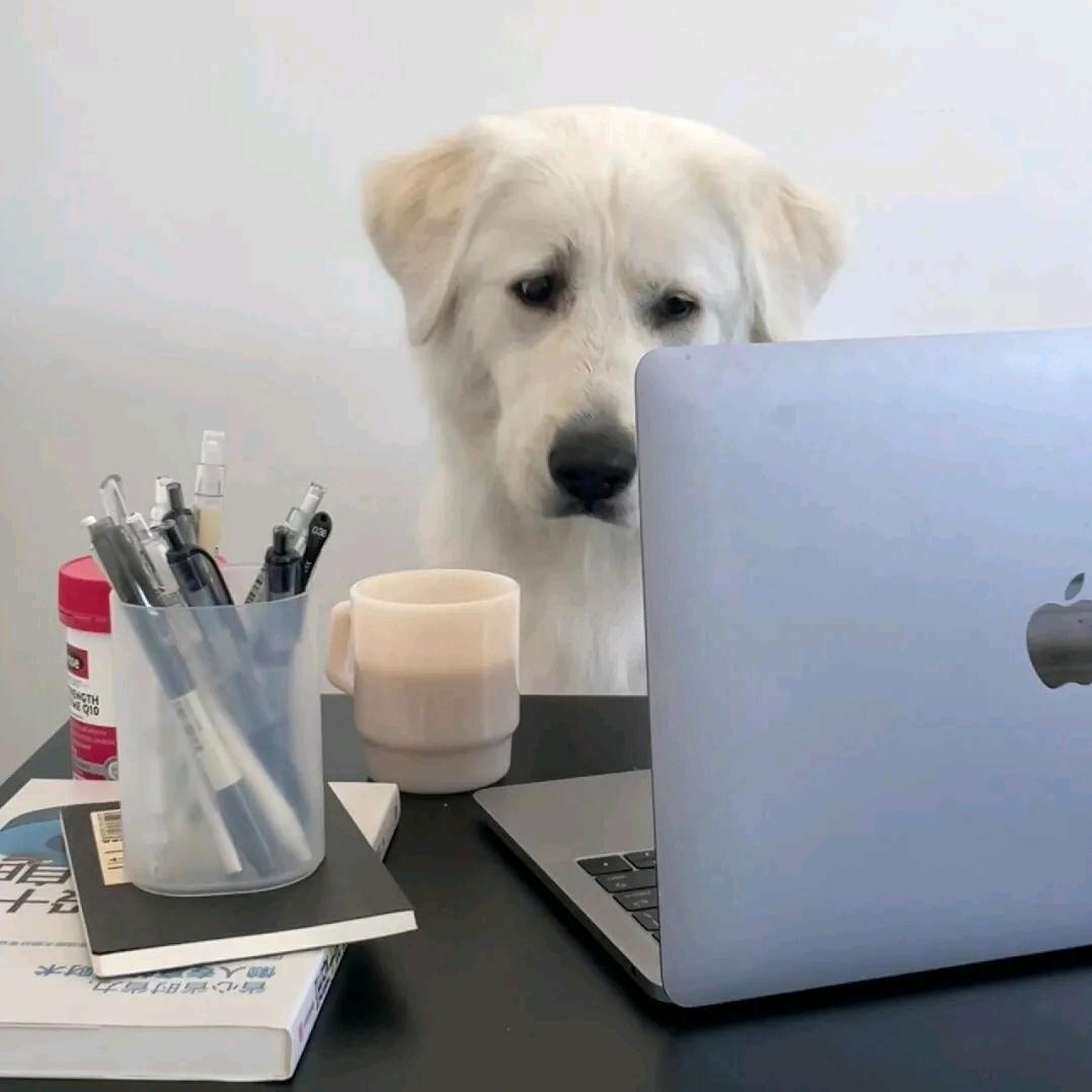 献给你的一首歌