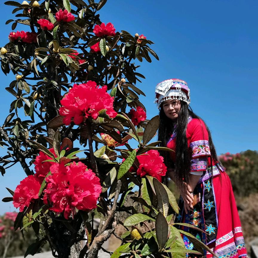 罗平胡姐（正能量