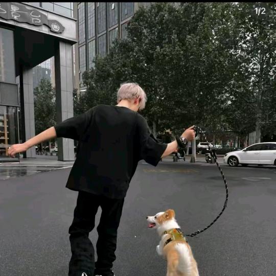 陌路