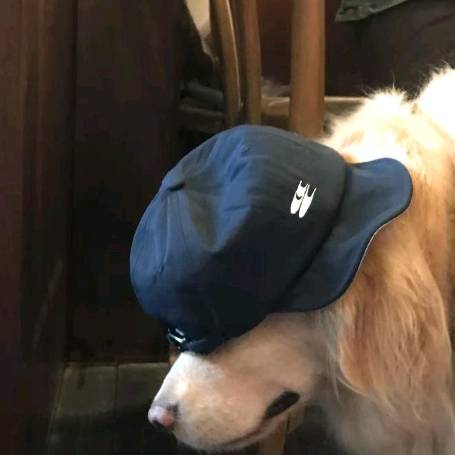 嘉兴电竞DIY 电脑组装