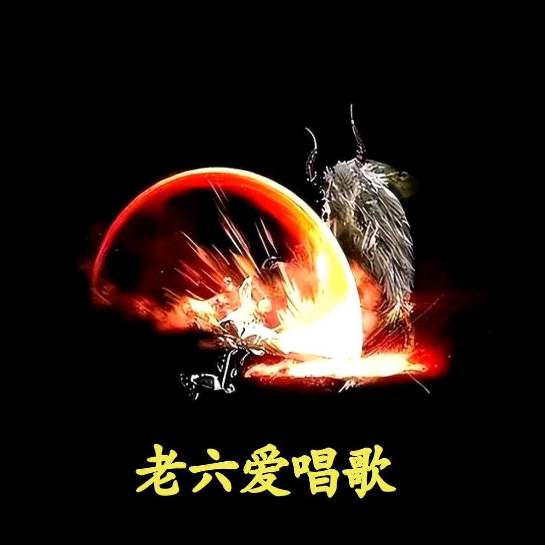 老六爱唱歌…