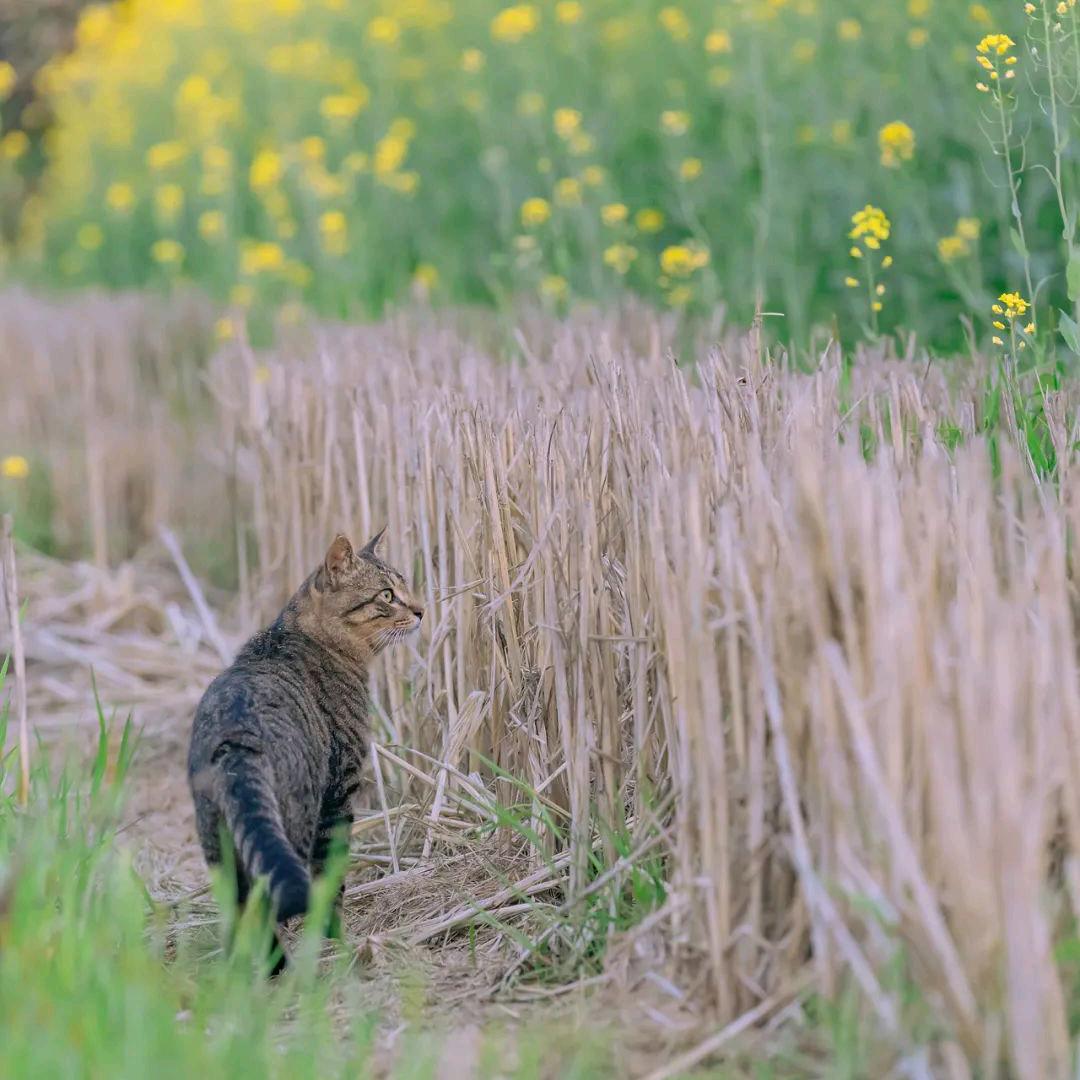 🖋球⃣～球⃣❣