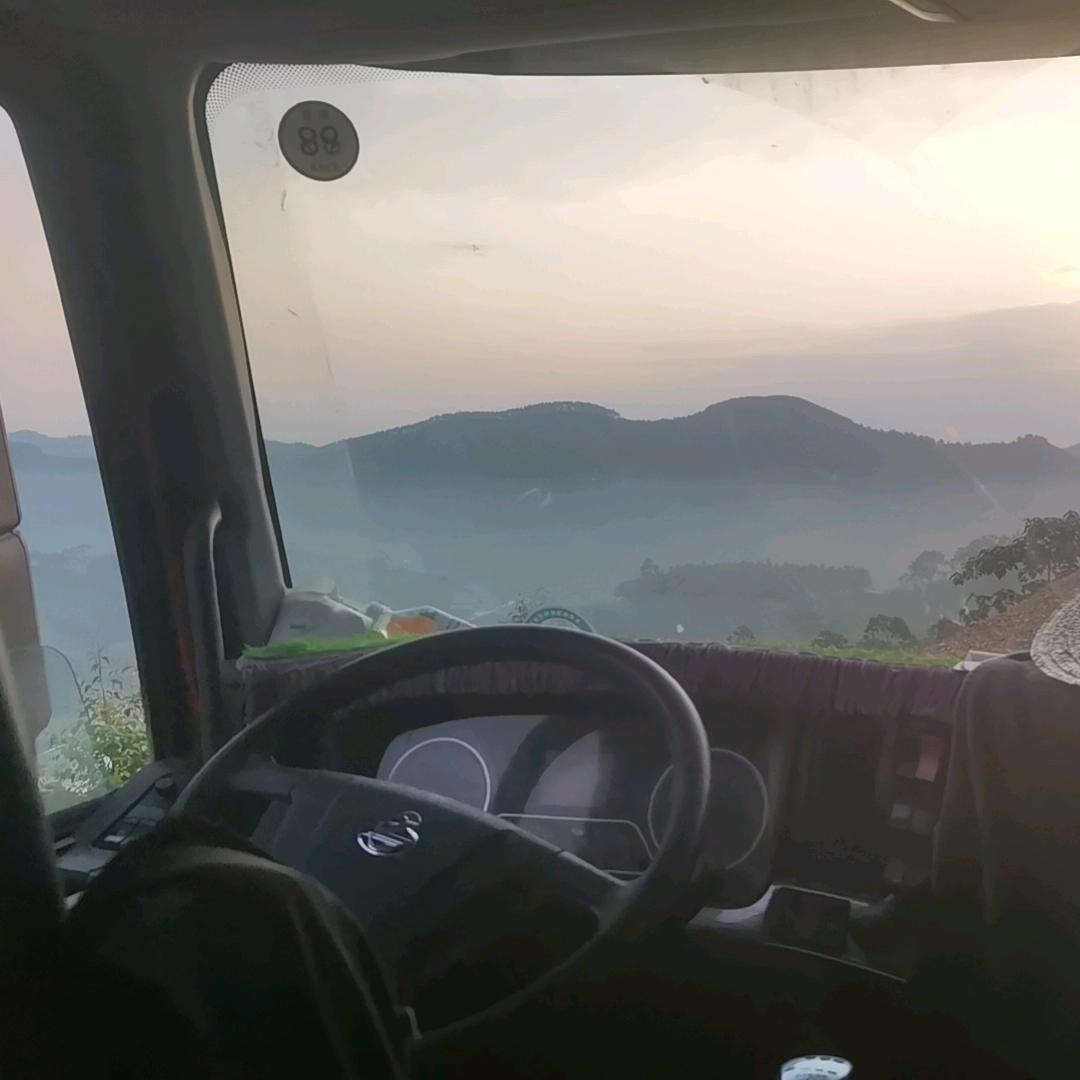 兜兜里有芭蕉叶