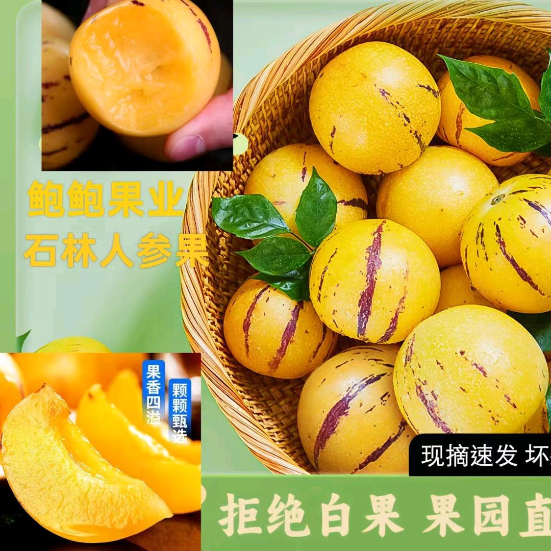 鲍鲍昇鲜