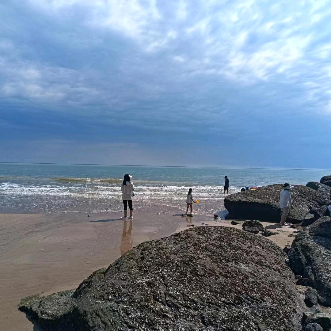 冰之鲜三文鱼（大荔店）