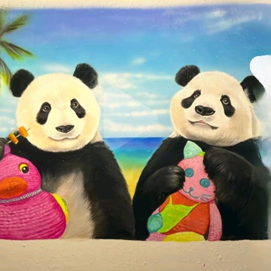 大熊猫356🐼