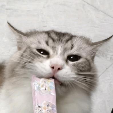 波尔