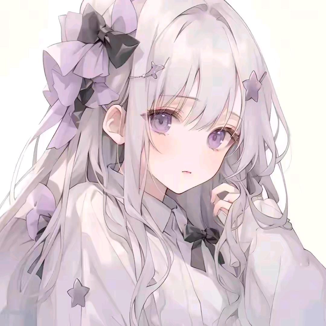 雨后玫瑰🌺