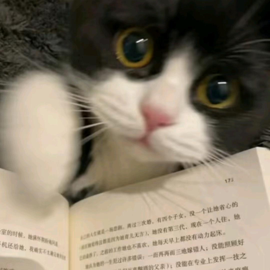 杂食是我的错，对不起放过我，我流量呢？！