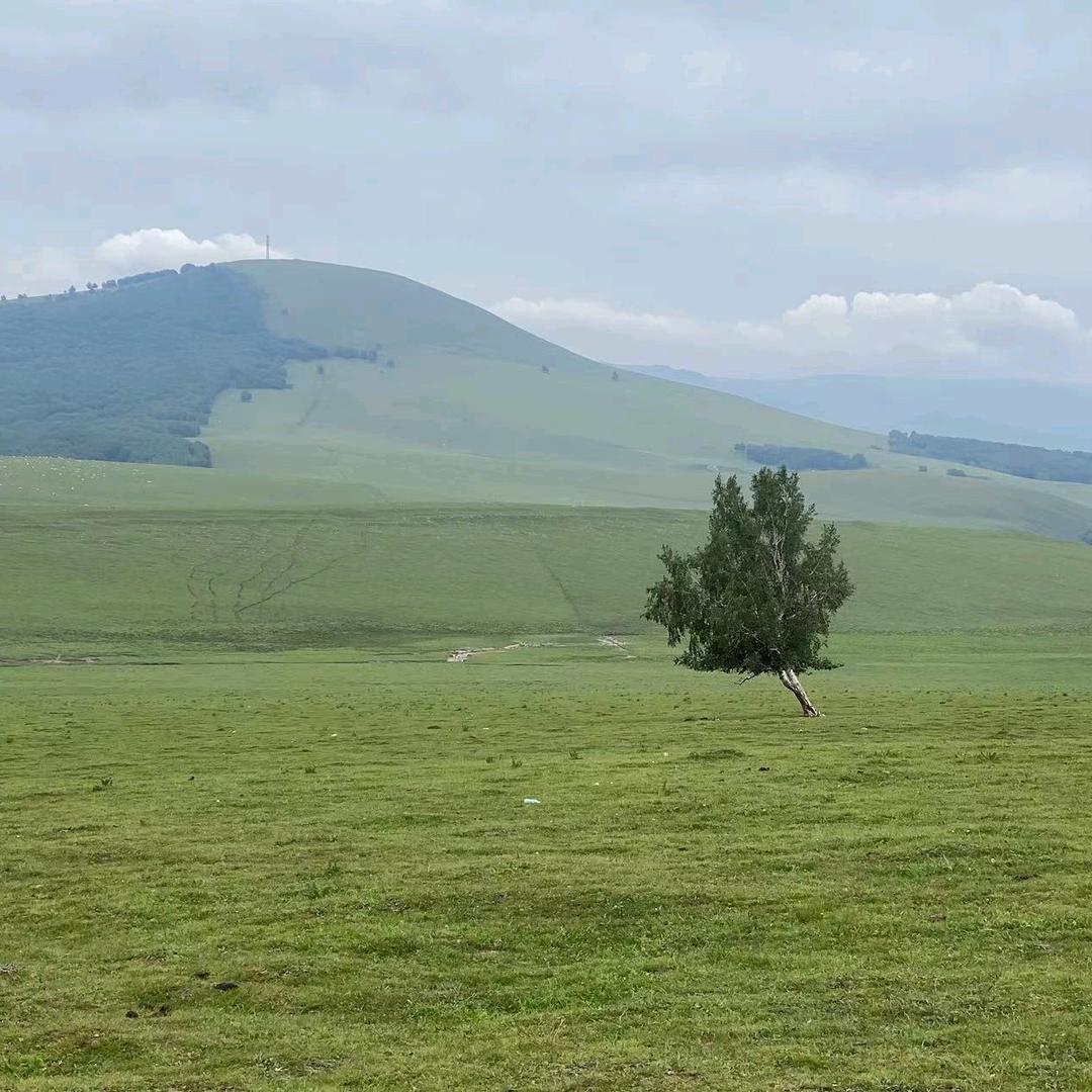 感情丰富的暖心男人
