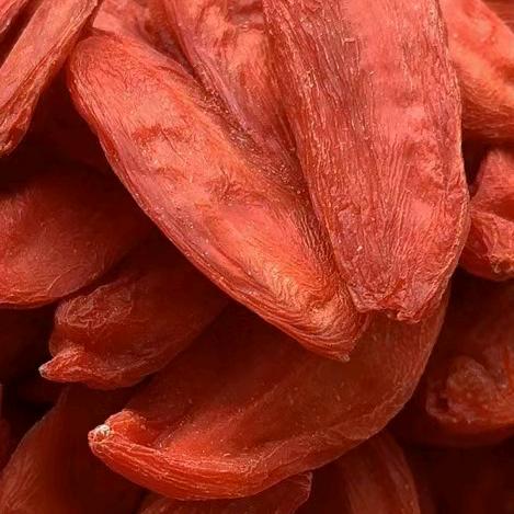 宁夏兔兔🌹🐰