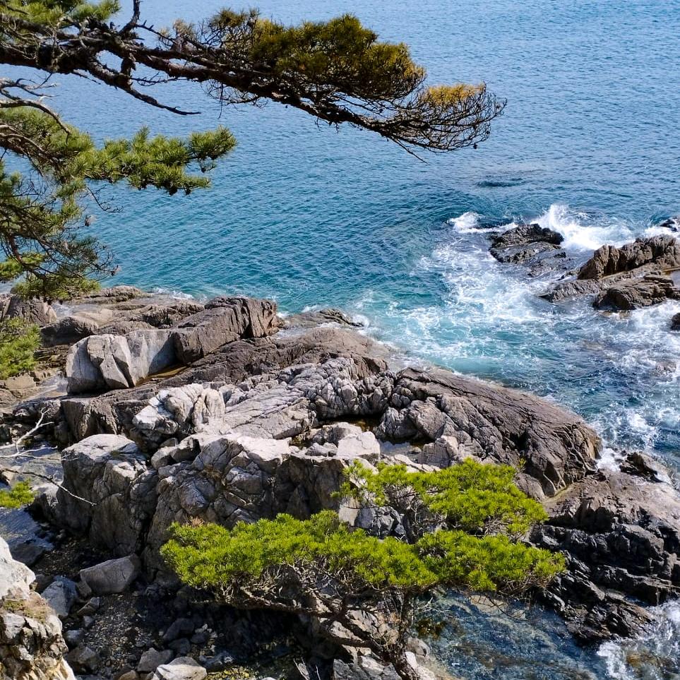 海参崴 酒店民宿 旅游 尤莉娅