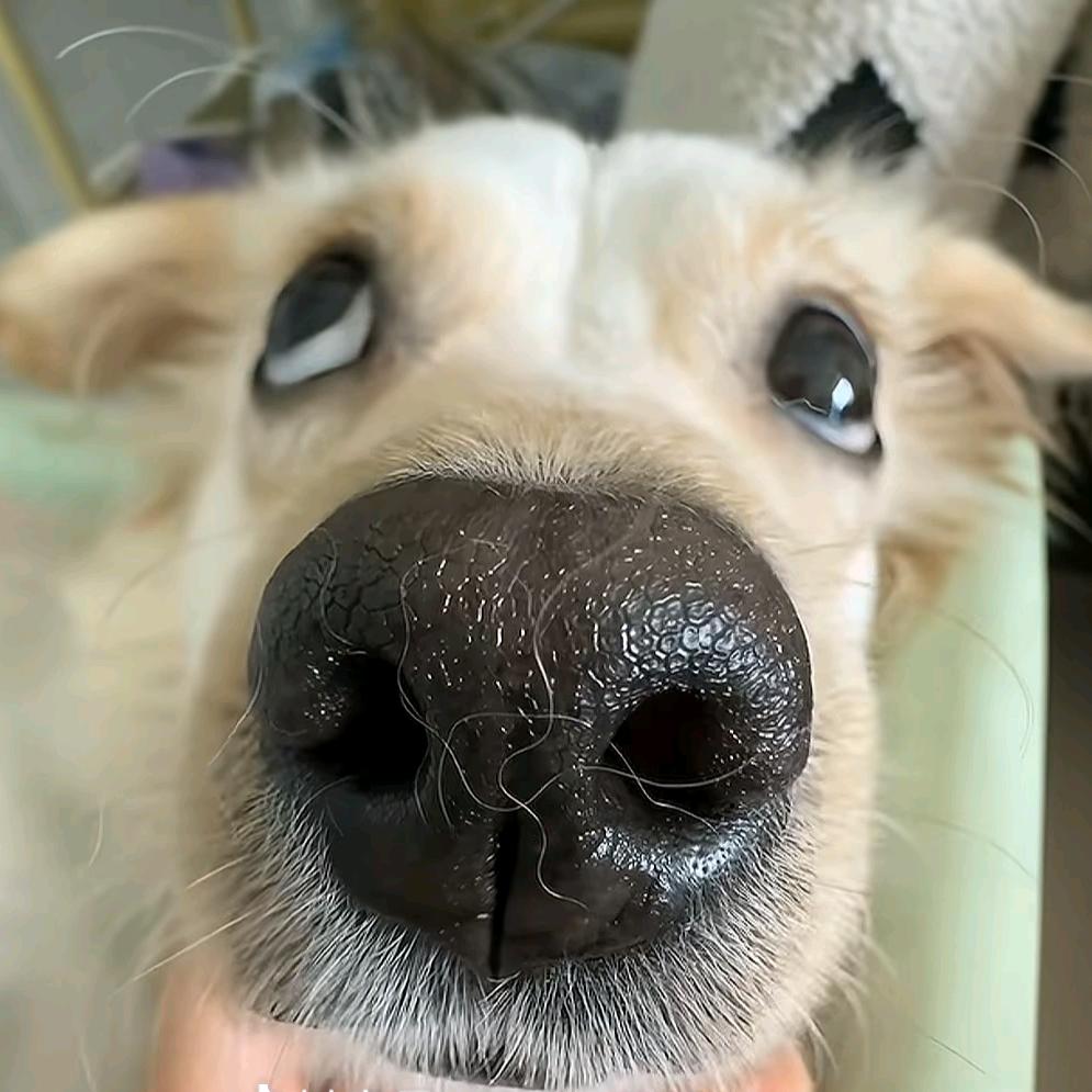 ʜᴀᴘᴘʏ̆̈