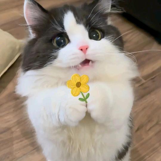 快乐明全❀~