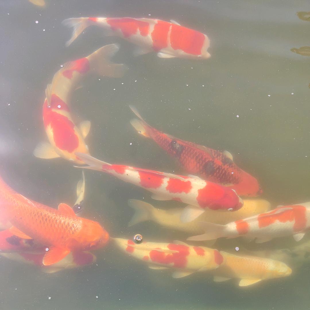 秋风🍃无情🍂