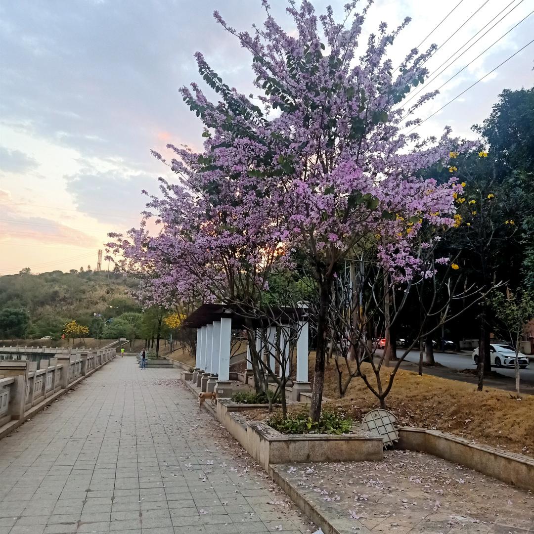 💑妞妞💑³³⁴⁴🍀