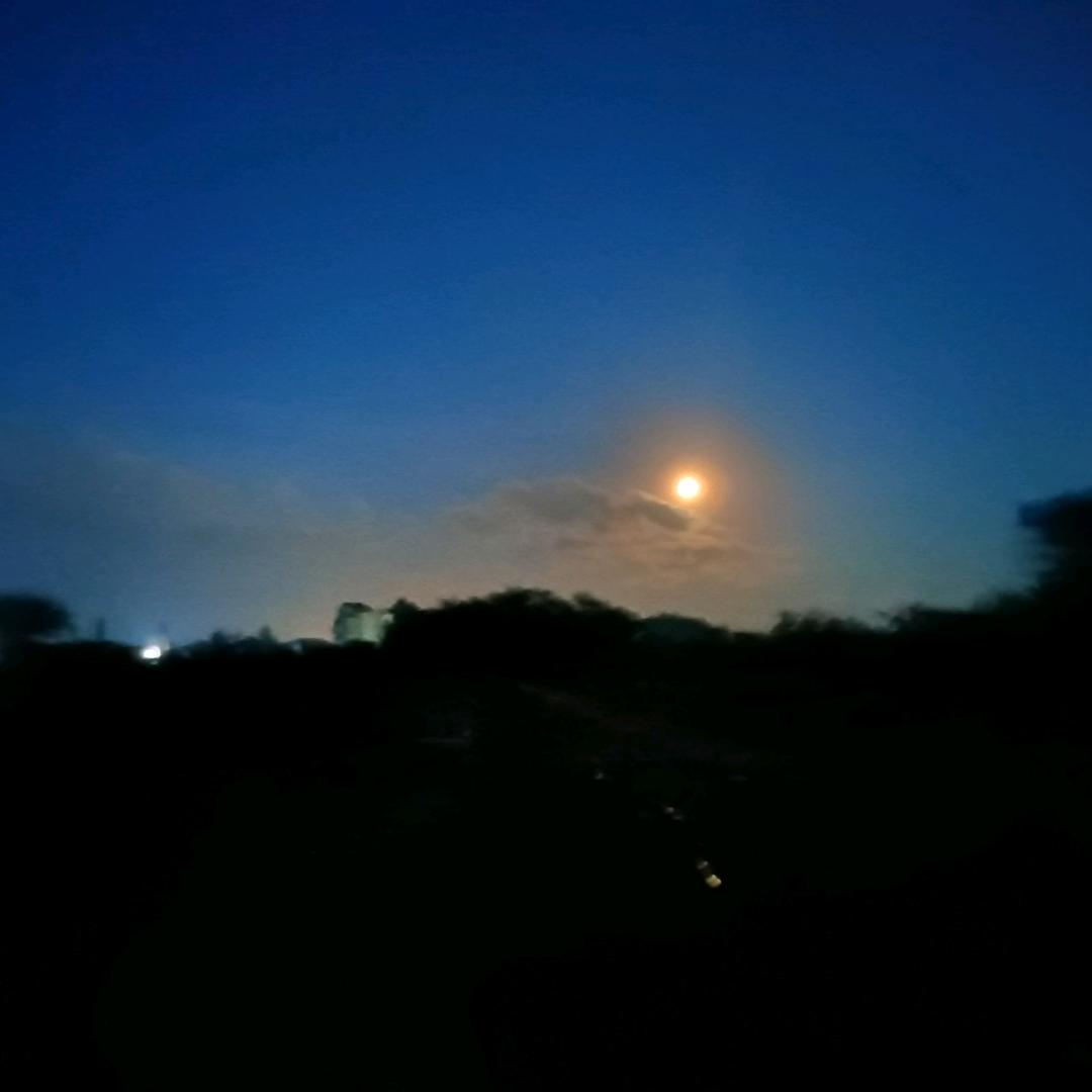 刘明
