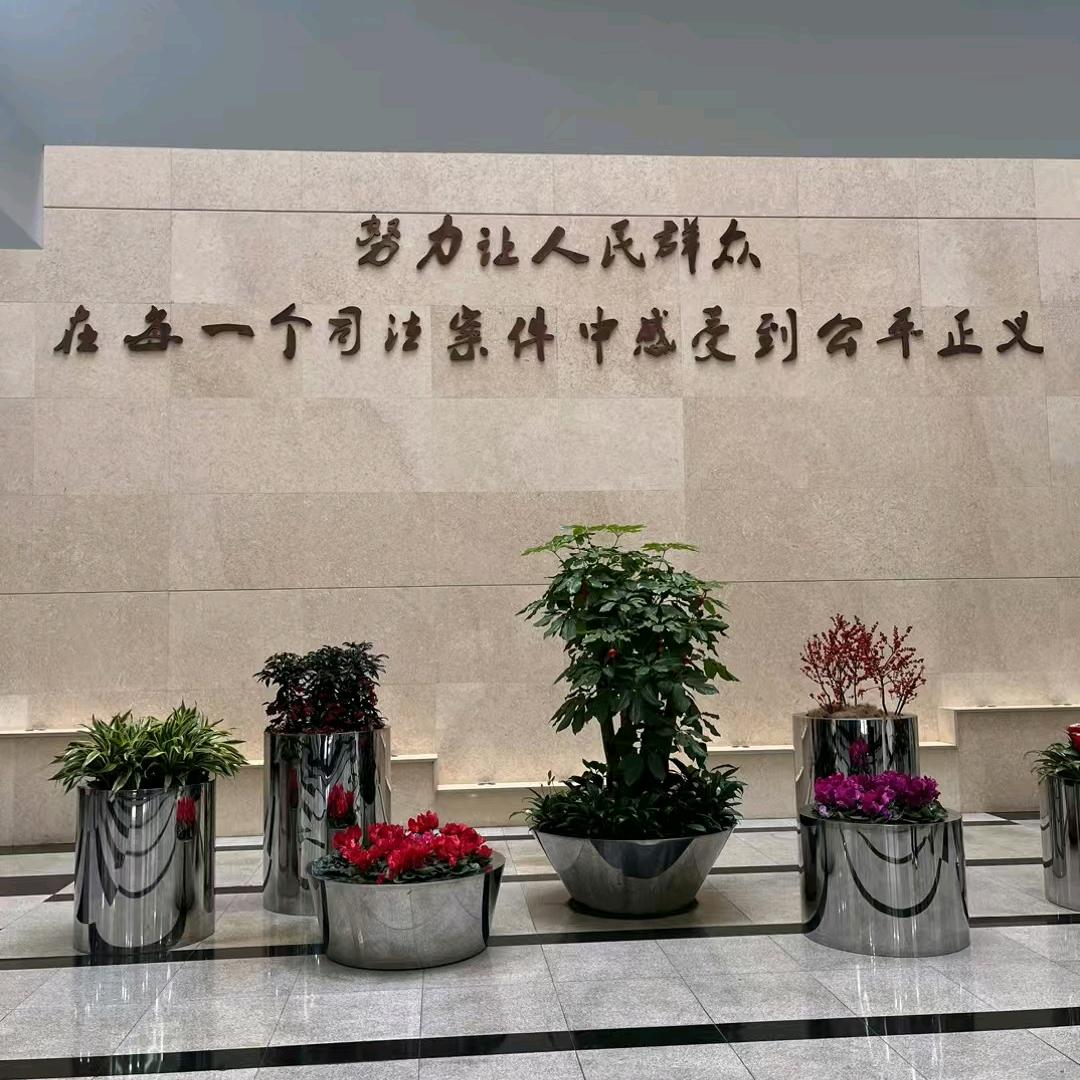 法医视界山东