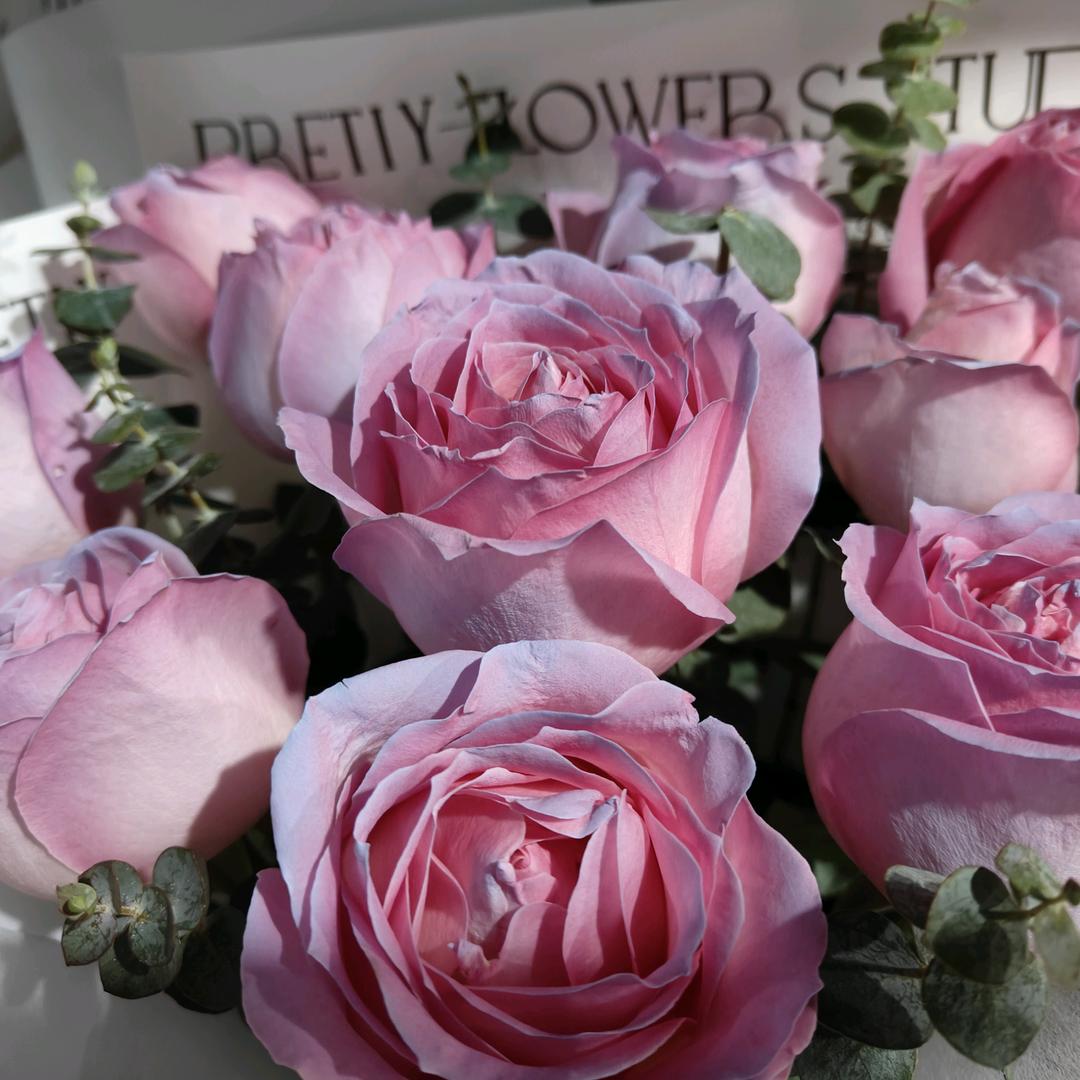 拽拽的你我他（她）