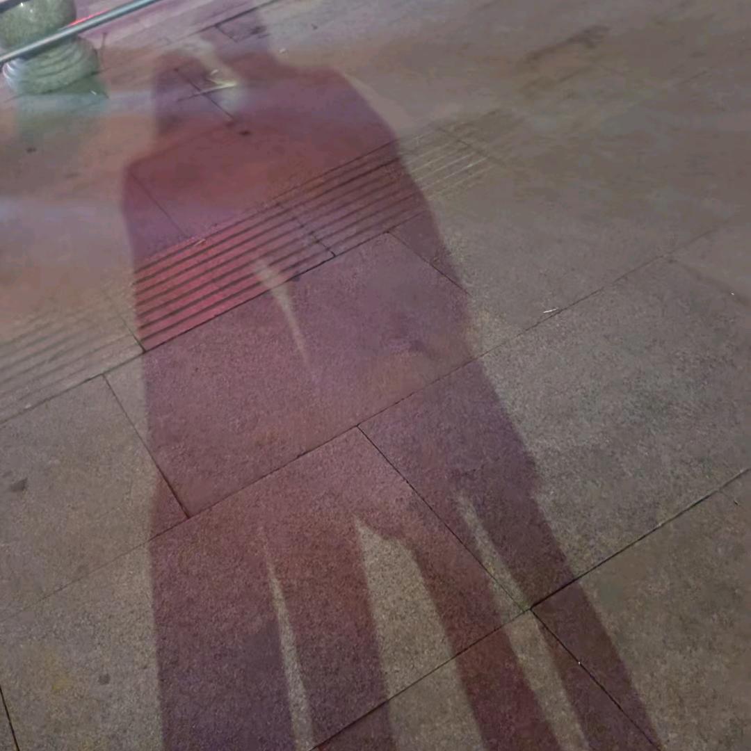 在我怀里的猫