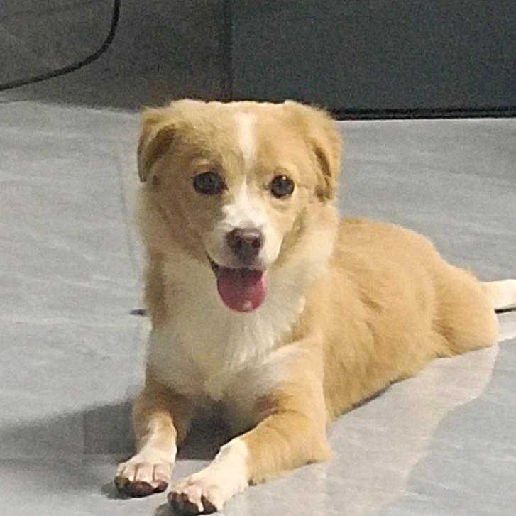 欣星