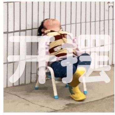 小杨•ʚ•（老撕）