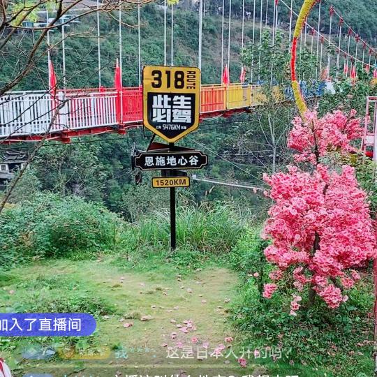 温柔媚娘🌹🌹🌸🌸☘☘