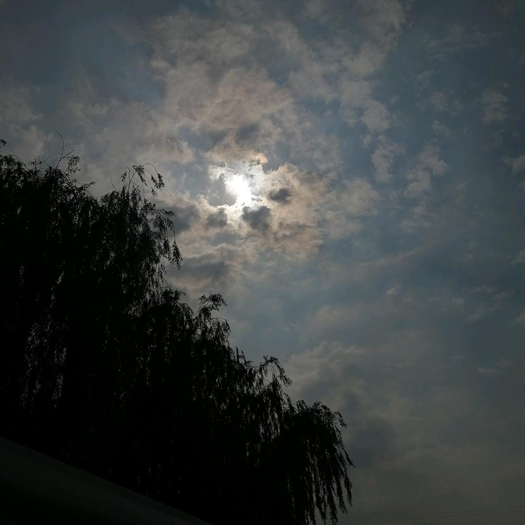 用户1号祝你气财冲天︽︽c