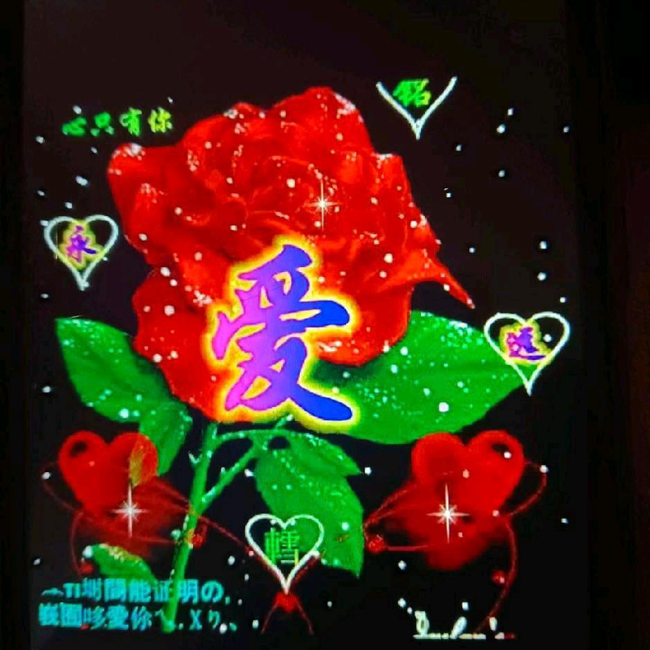 封心了不在找了👫