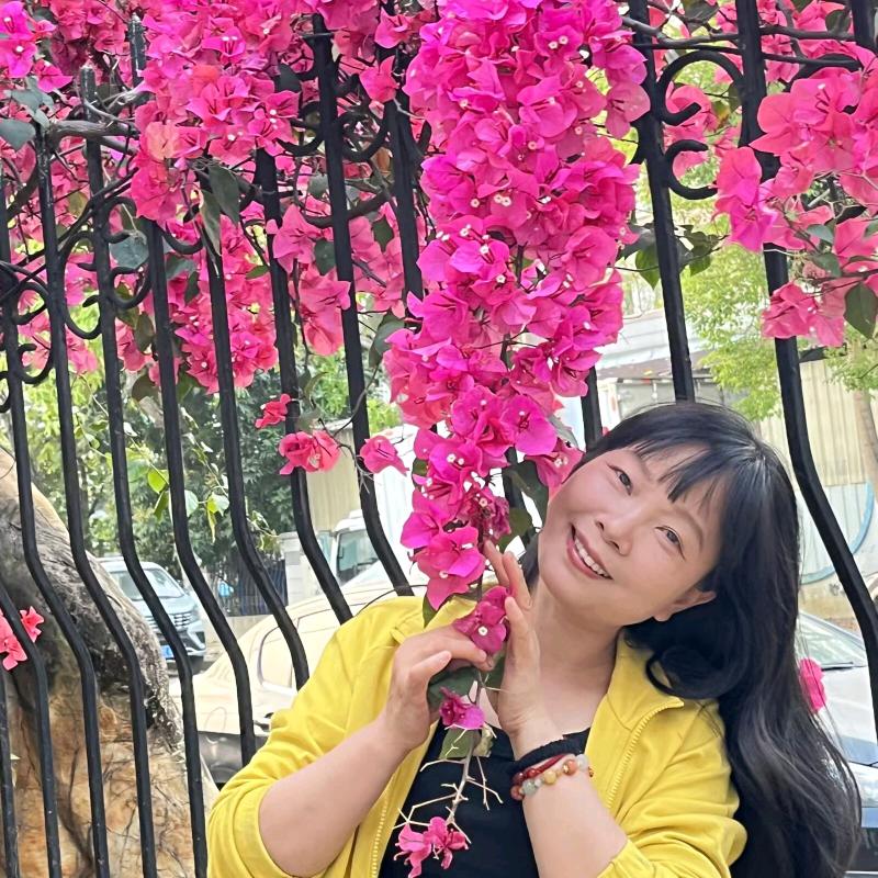 小黄姐在顺德