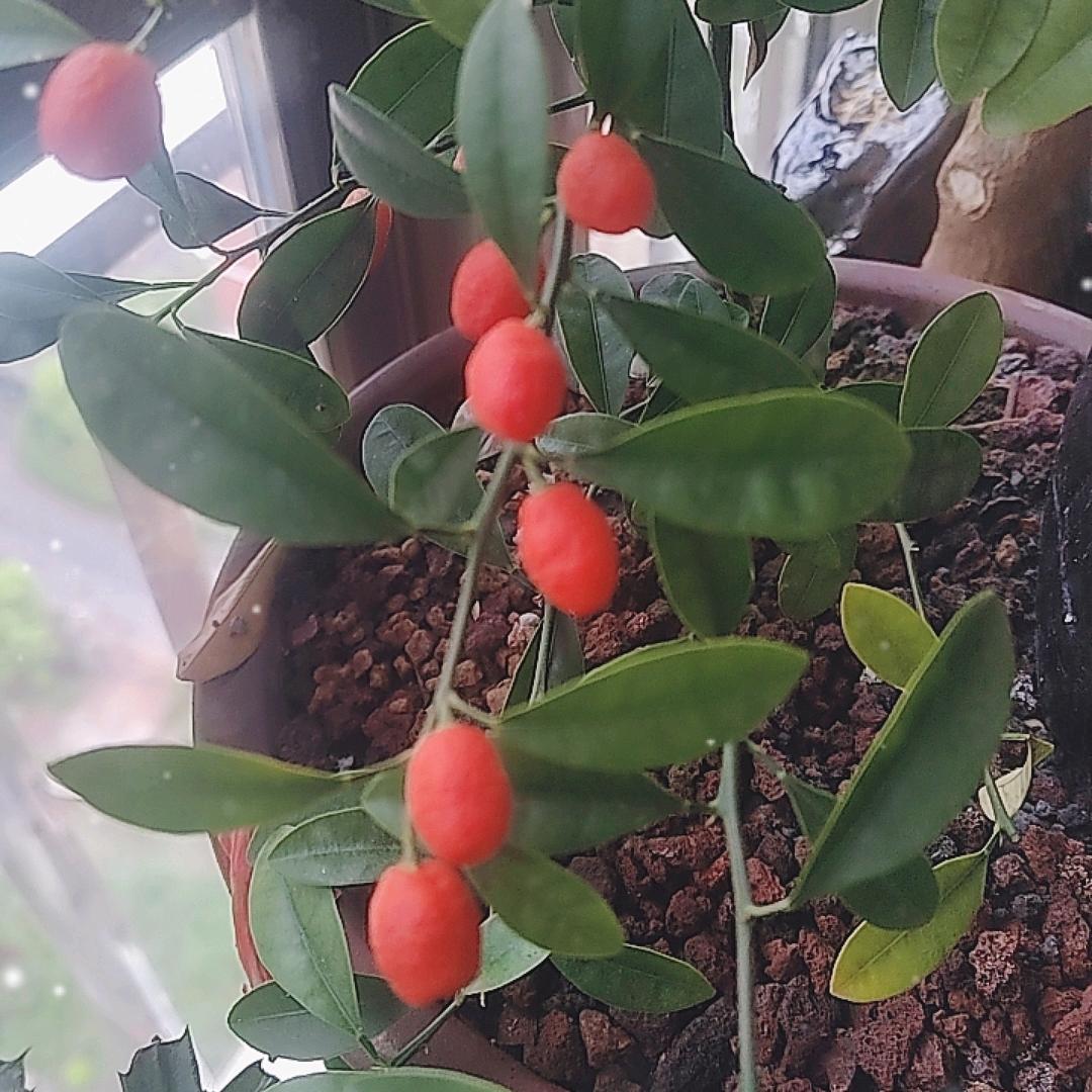 小林日杂百货