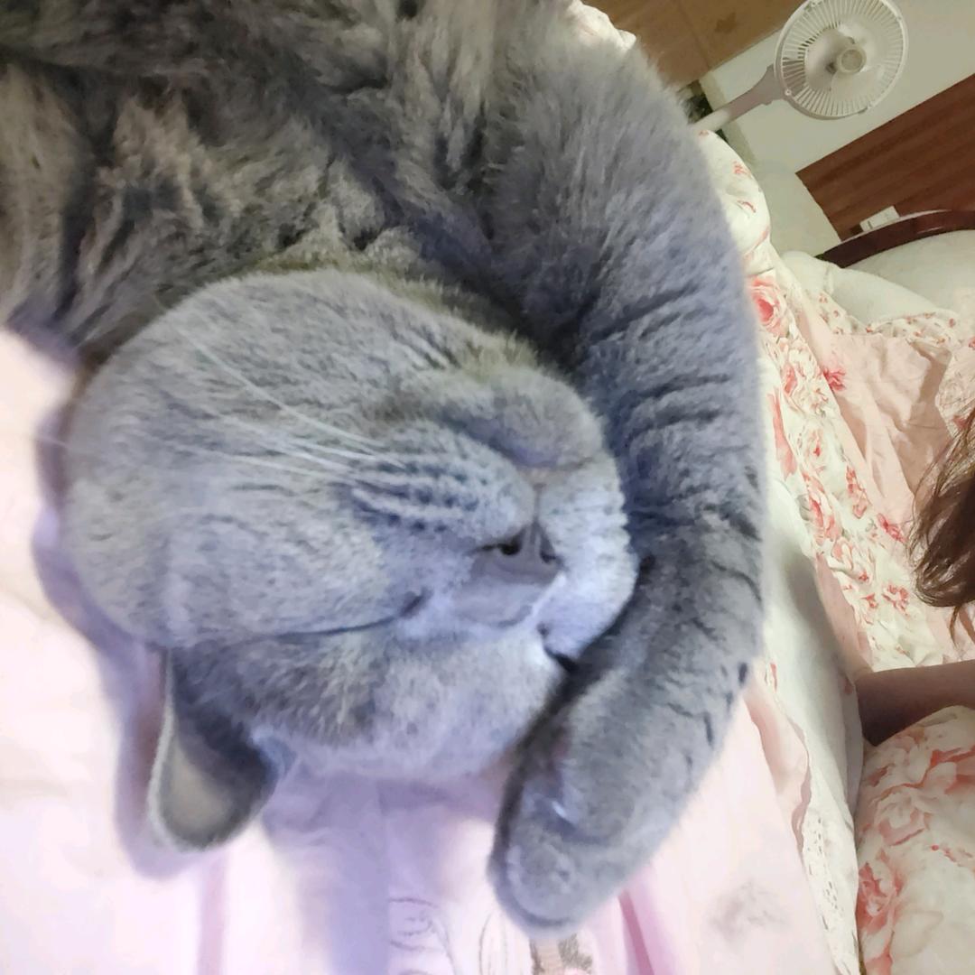 @柚子