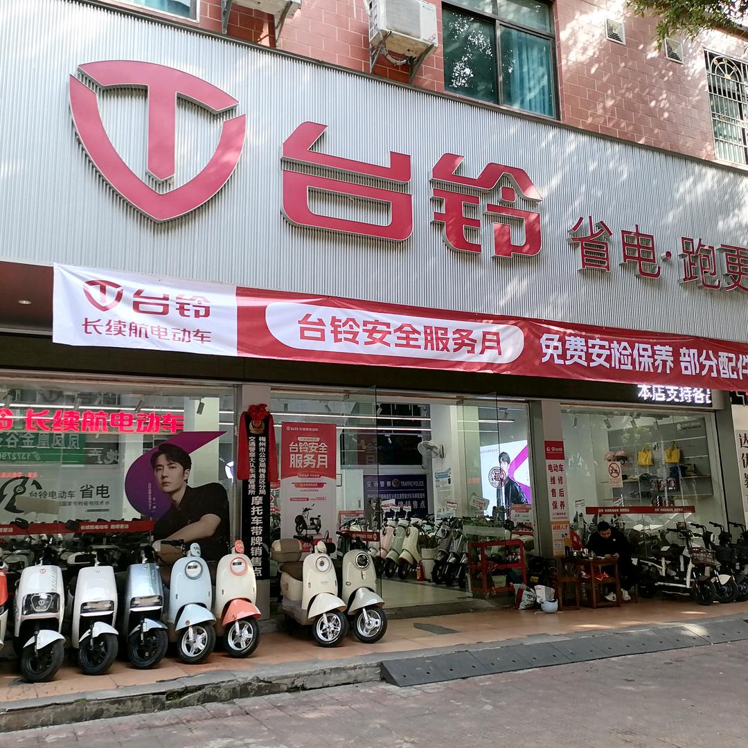 新县城大新东路强兴台铃电动车