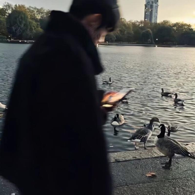 给你宇宙好不好