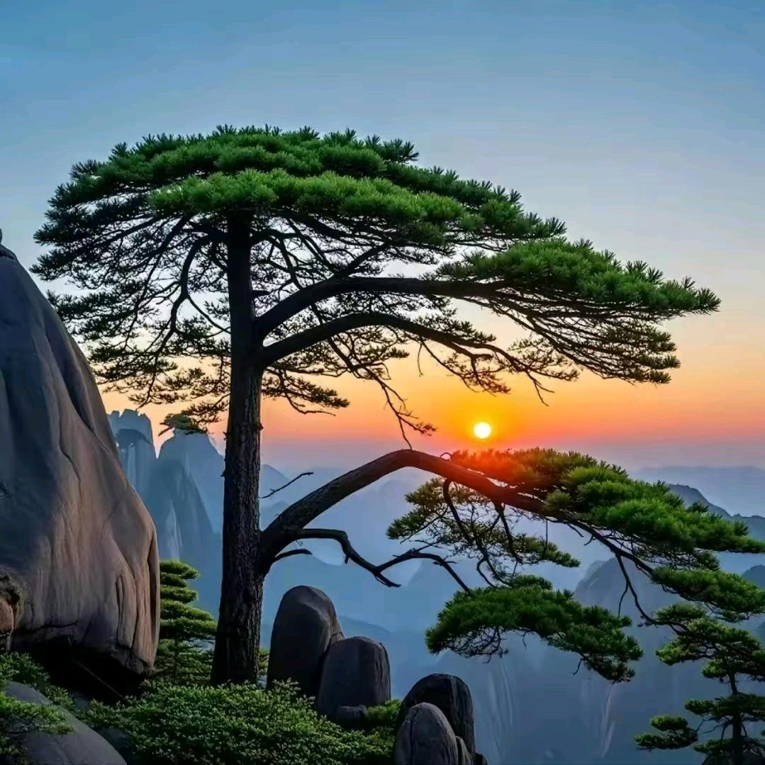 星辰大海