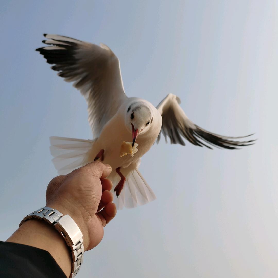 洒脱