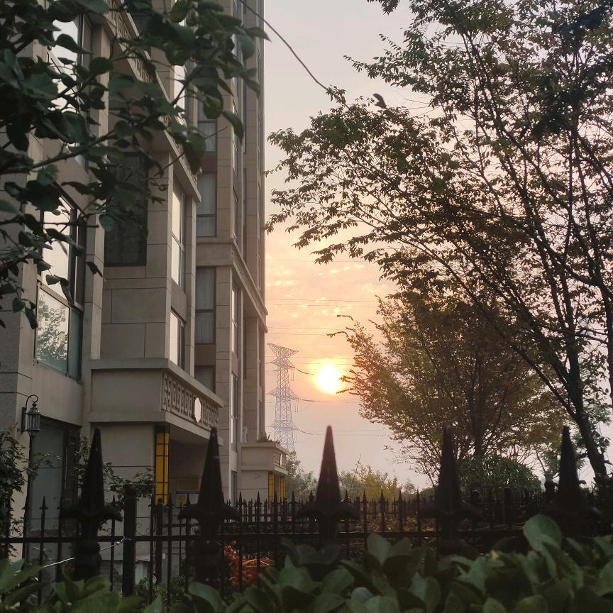 向上生长 向下扎根